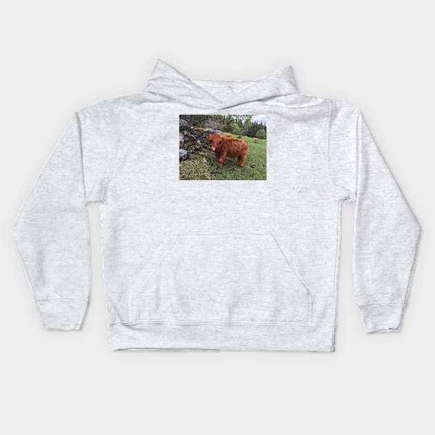 Scottish Highland Cattle Calf 1995 Kids Hoodie by SaarelaHighland